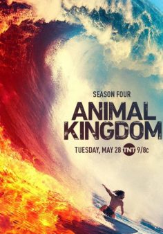 مسلسل Animal Kingdom الموسم الرابع مترجم (تم اضافة الحلقة 13 و الاخيرة )